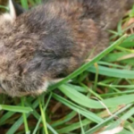 22.09.2023_13.06.19_REC