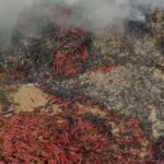 wp-17761757074938135134135334661876